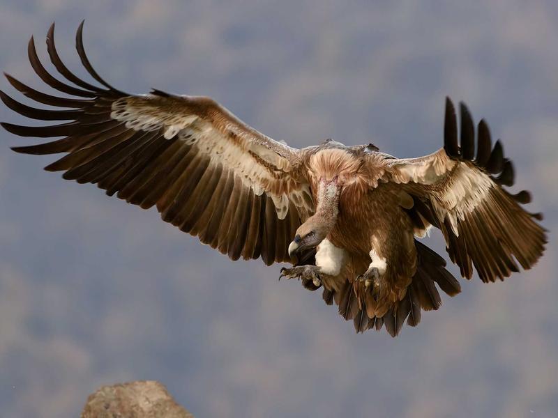 水世界漂流<br>yxepqio.cn 深海钻井平台